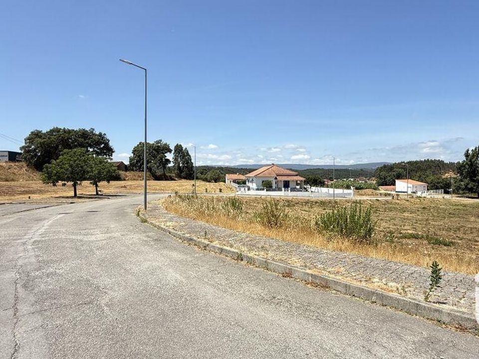 Terra a Santarem, Santarem - foto 4