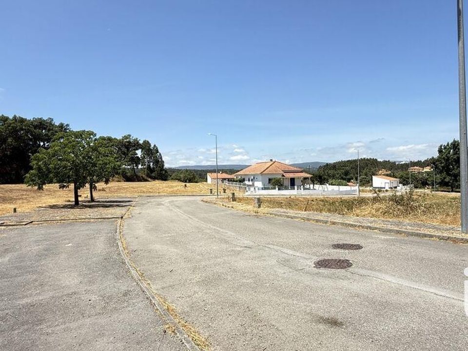 Terra a Santarem, Santarem - foto 5