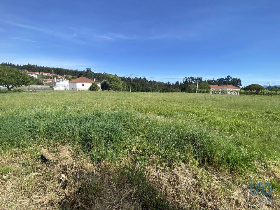 Byhus i Vila Nova de Cerveira, Viana do Castelo - foto 3