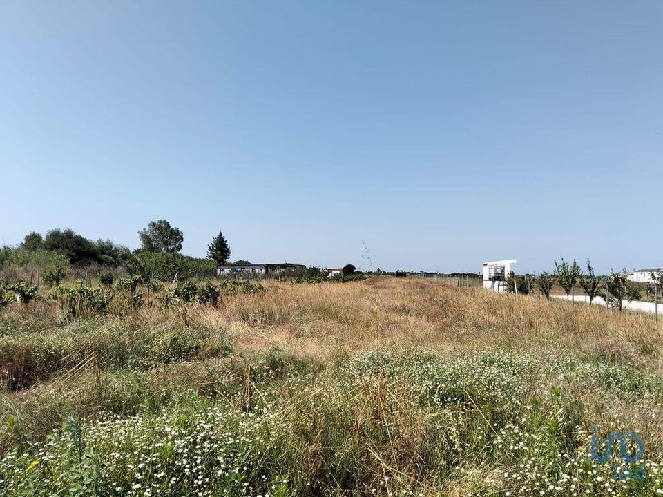 Helårsgrund i Almeirim, Santarem - foto 1