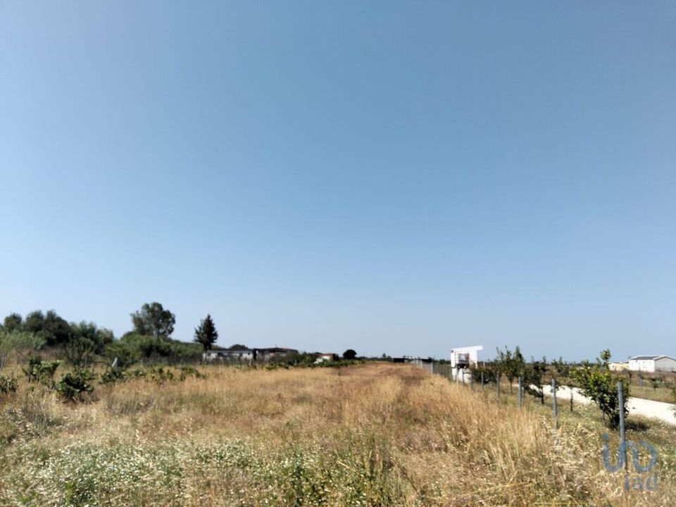 Helårsgrund i Almeirim, Santarem - foto 2