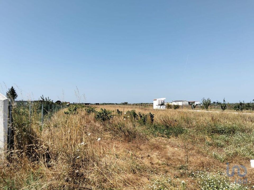 Helårsgrund i Almeirim, Santarem - foto 4