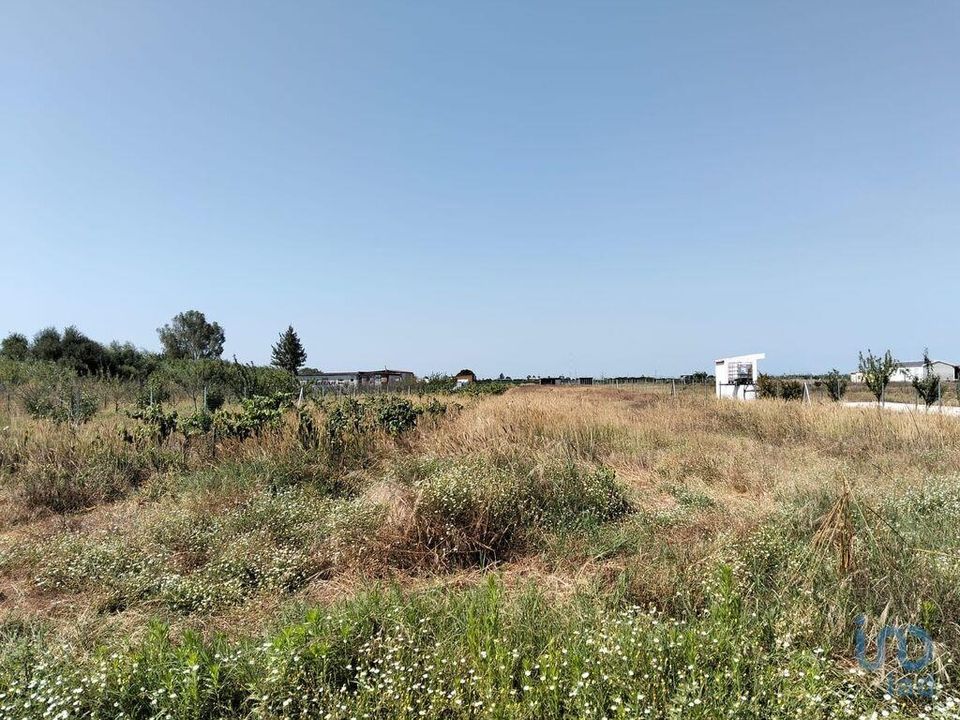 Helårsgrund i Almeirim, Santarem - foto 5