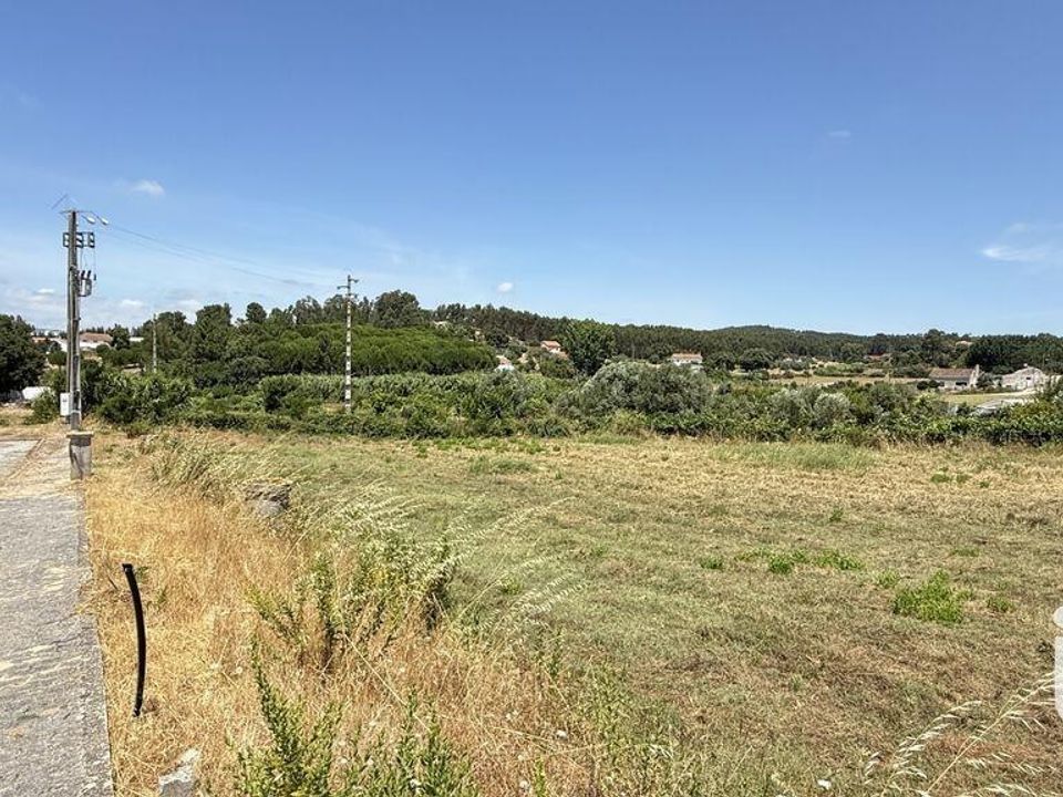 Terra a Santarem, Santarem - foto 4