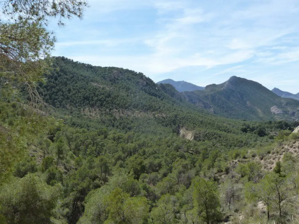 Rækkehus i Murcia, Murcia - foto 3