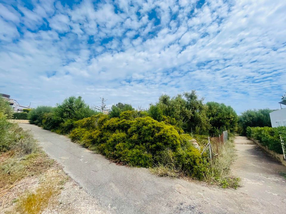 Helårsgrund i Cala Anguila, Mallorca - foto 1