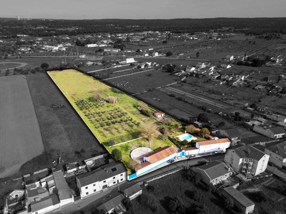 Farm i Abrantes, Santarem - foto 2