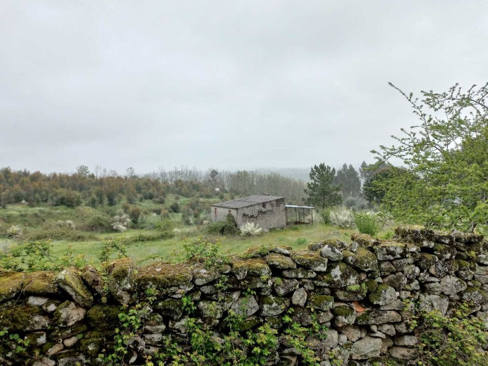 Farm i Vilar seco, Viseu - foto 3