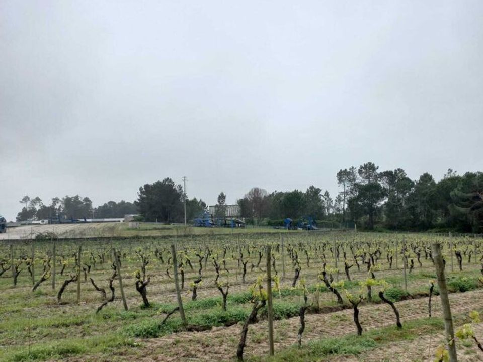Farm i Vilar seco, Viseu - foto 4