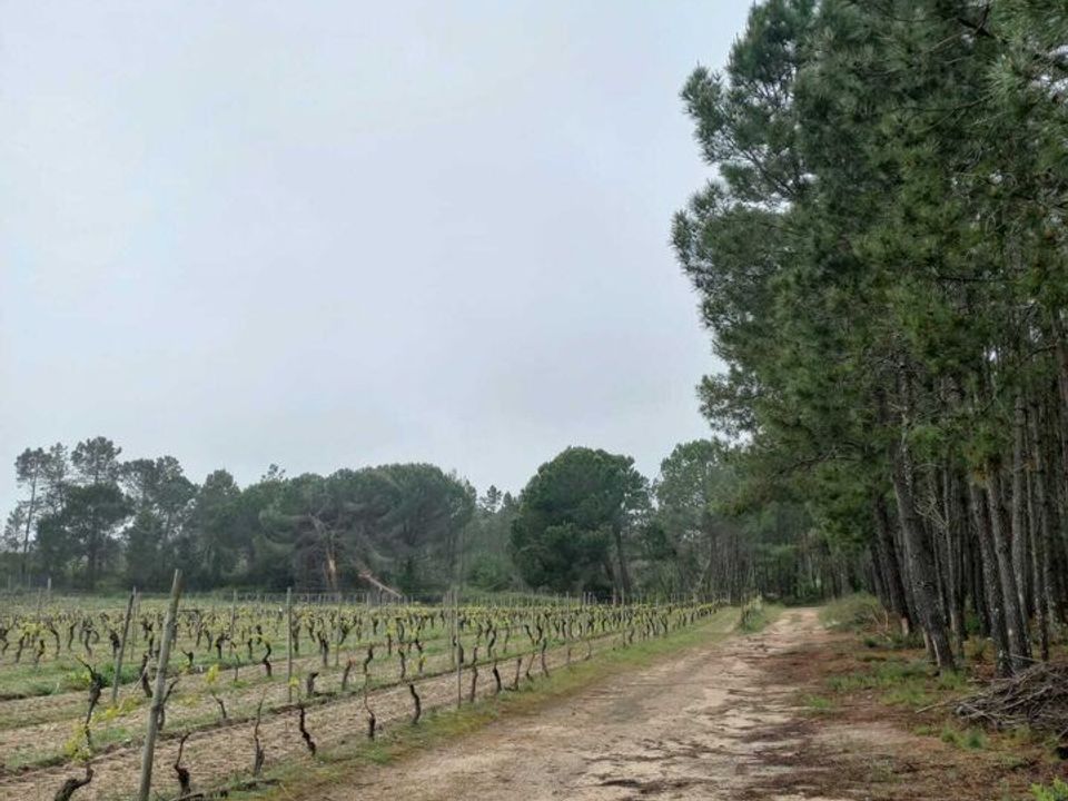 Farm i Vilar seco, Viseu - foto 5