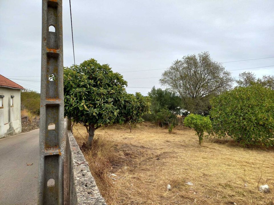 Helårsgrund i Olaia e Paco, Santarem - foto 2