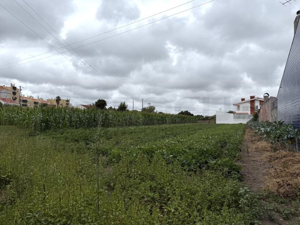 Helårsgrund i Aveiro, Aveiro - foto 2