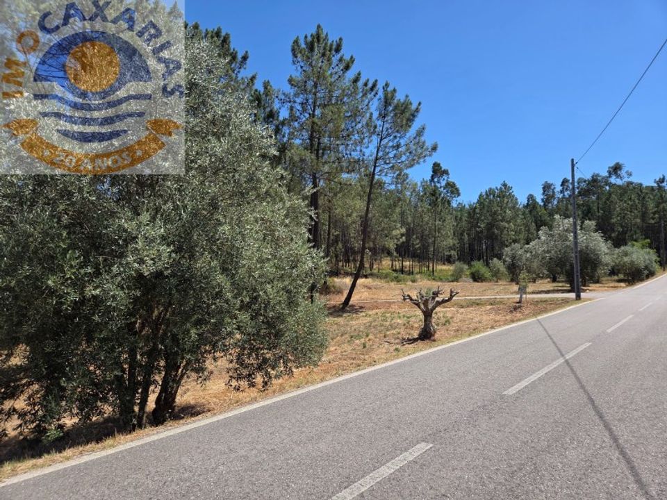 Terra a Rio de Couros e Casal dos Bernardos, Santarem - foto 1