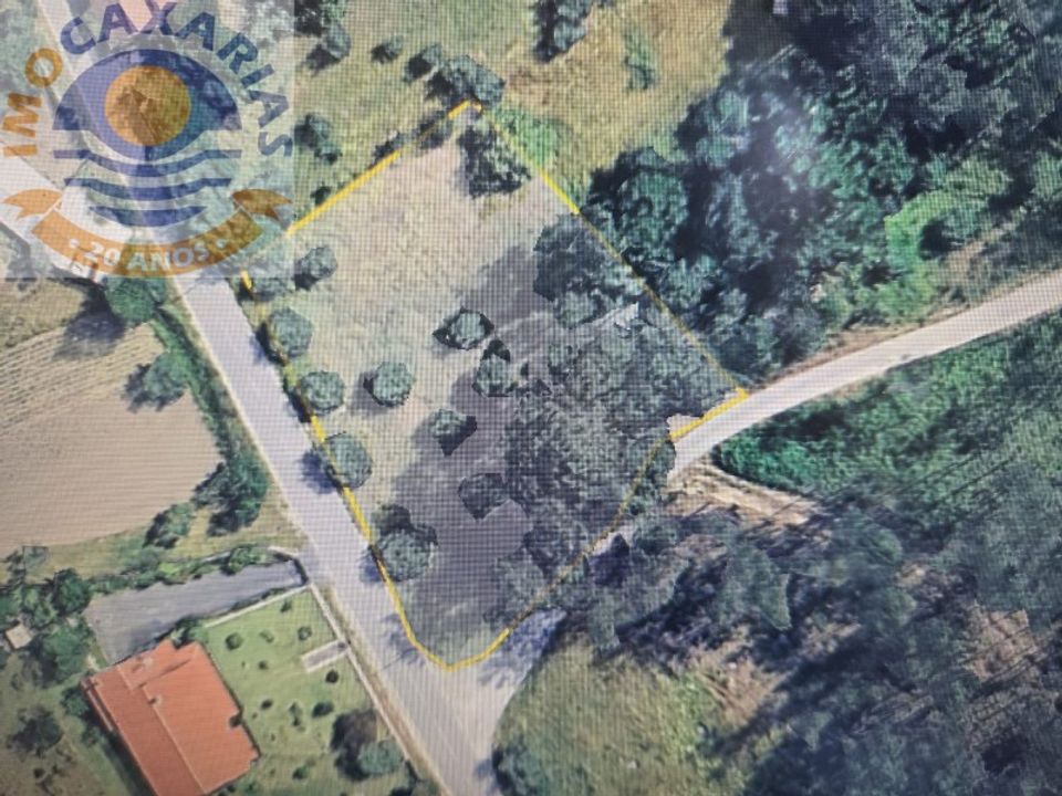 Terra a Rio de Couros e Casal dos Bernardos, Santarem - foto 3