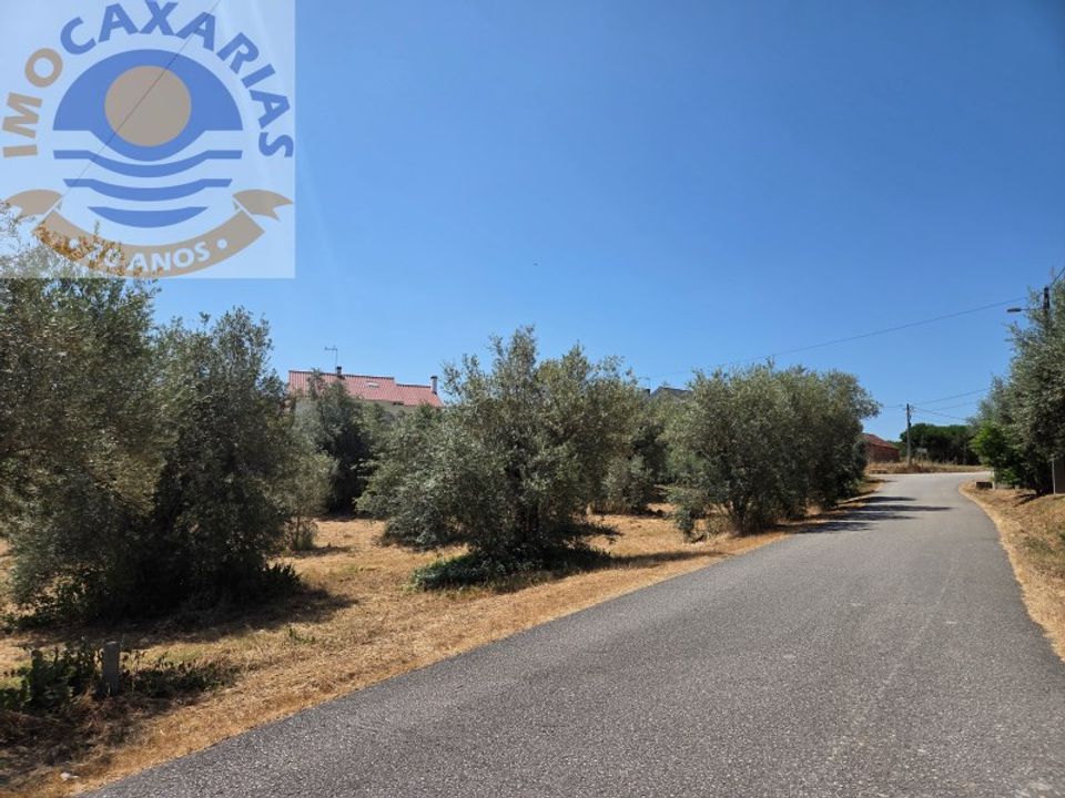 Terra a Rio de Couros e Casal dos Bernardos, Santarem - foto 1