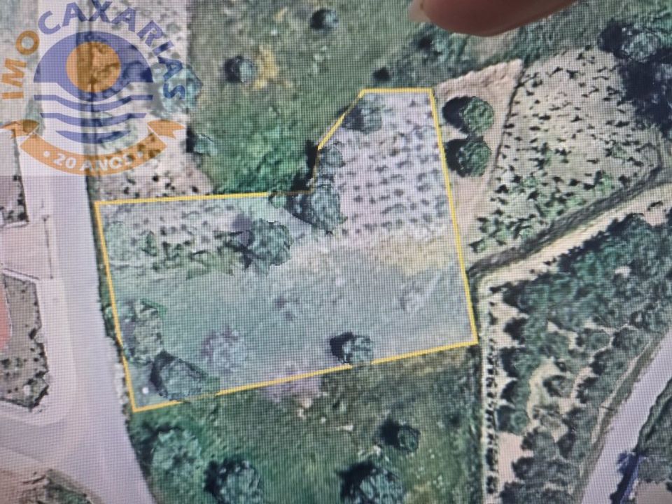 Terra a Rio de Couros e Casal dos Bernardos, Santarem - foto 2