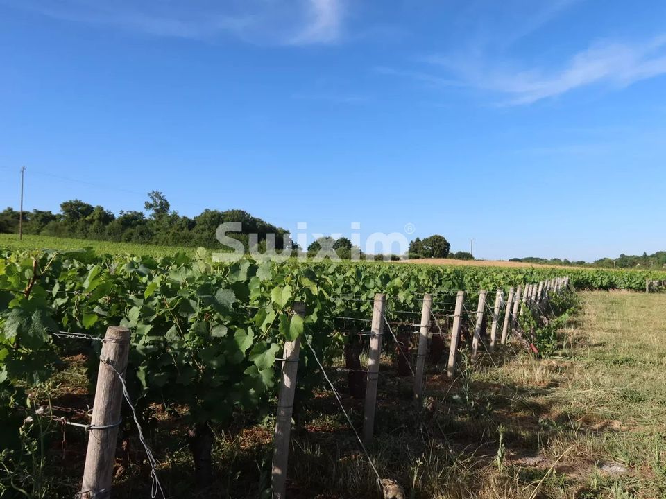 Helårsgrund i Mellecey, Saone-et-Loire - foto 3