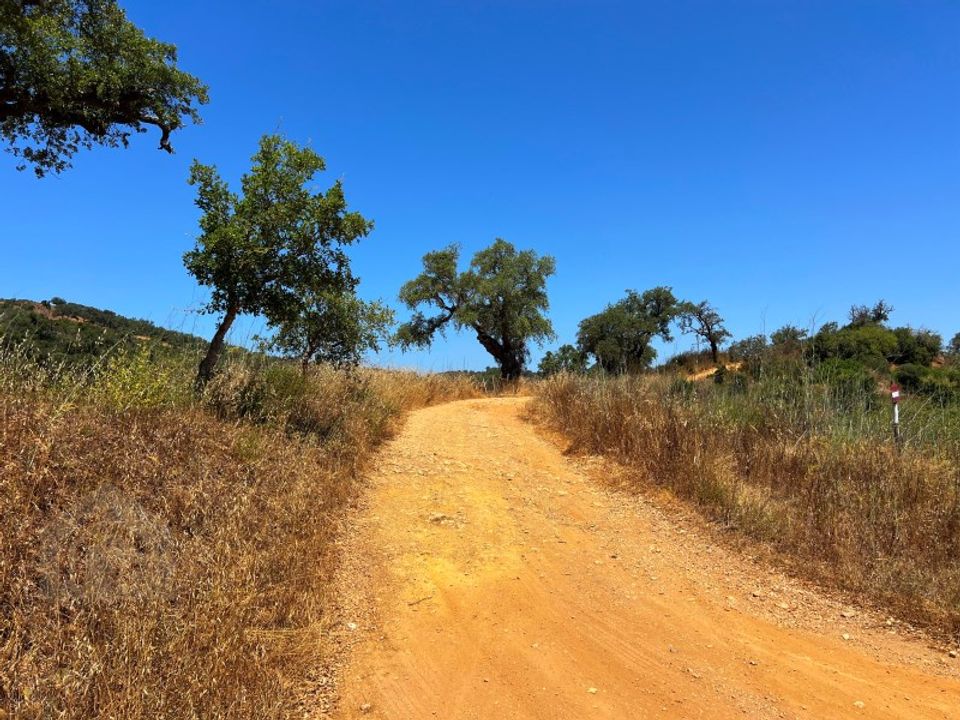 Farm i Odemira, Beja - foto 3