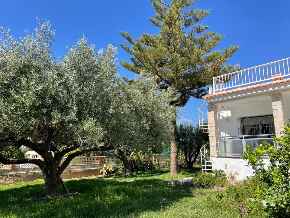 Villa i Vinaros, Castellon - foto 4