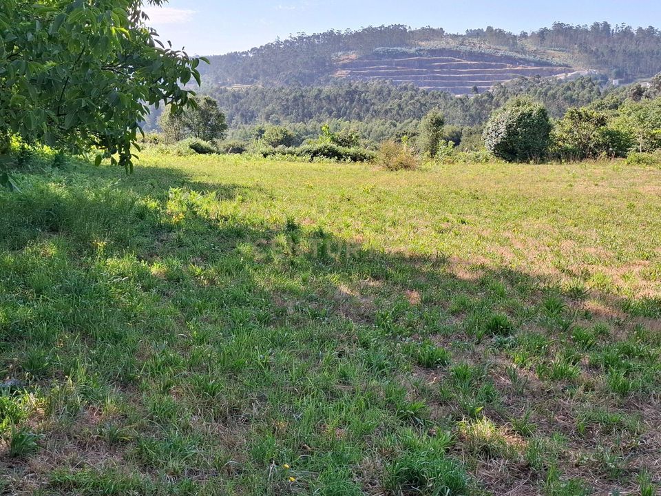 Helårsgrund i Santo Tirso, Porto - foto 1