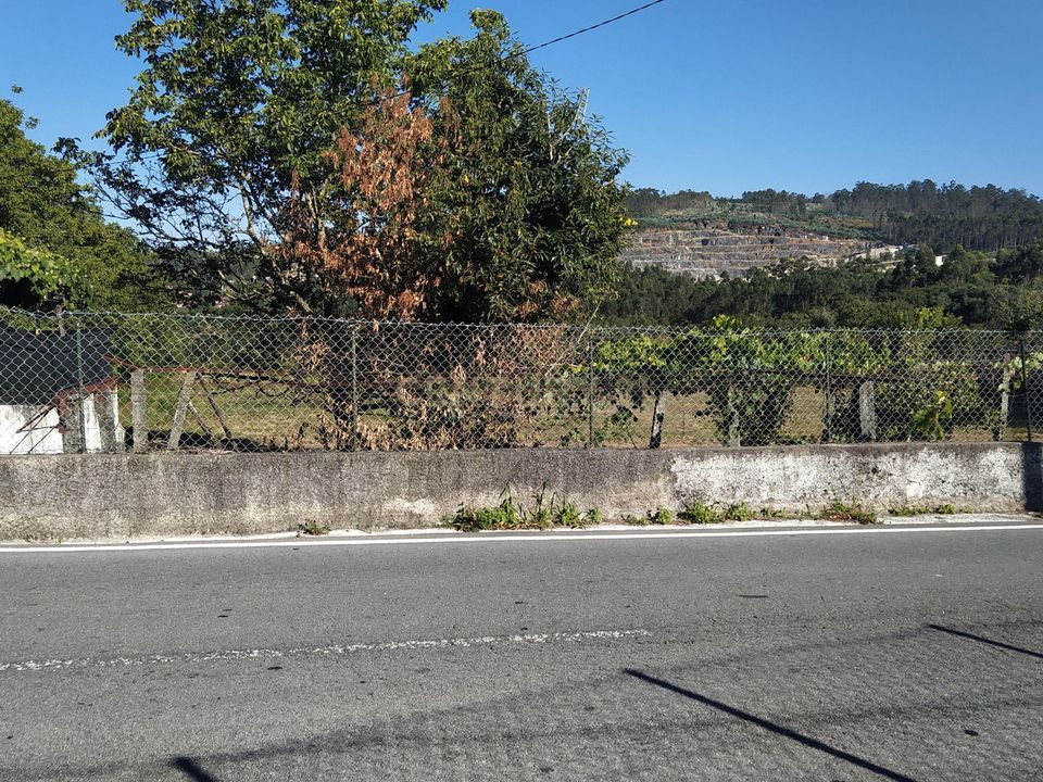 Helårsgrund i Santo Tirso, Porto - foto 2
