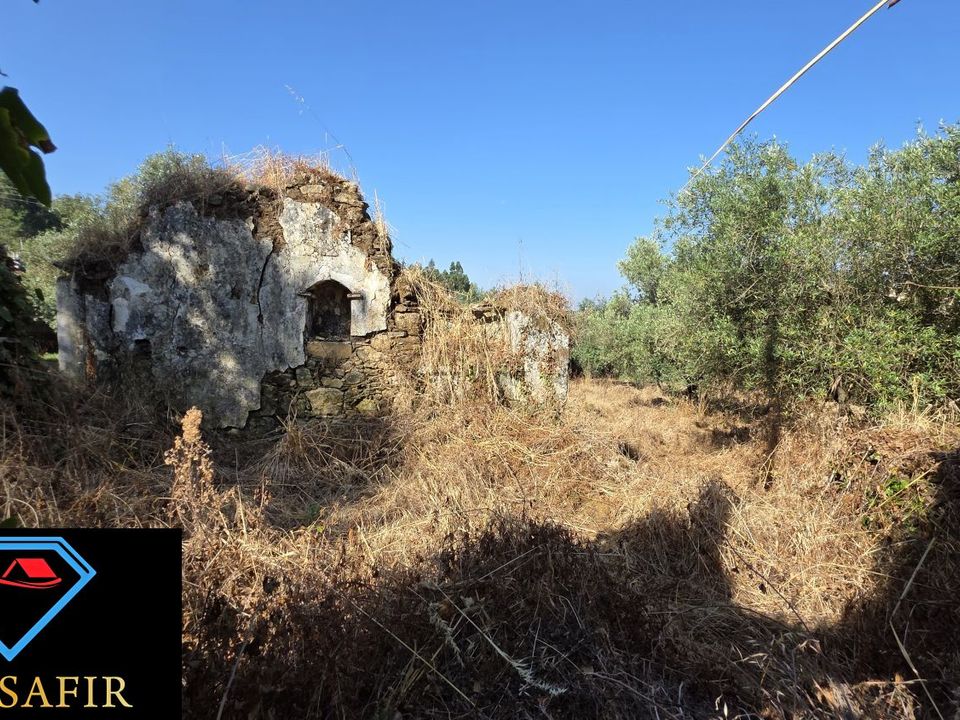Villa i Tomar, Santarem - foto 1