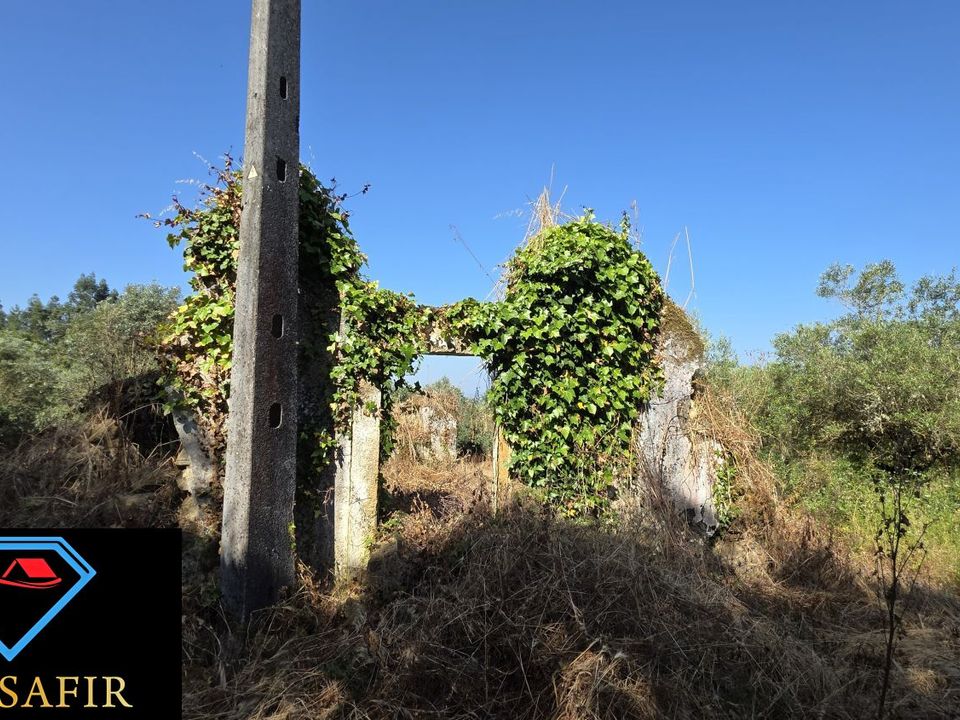 Villa i Tomar, Santarem - foto 3