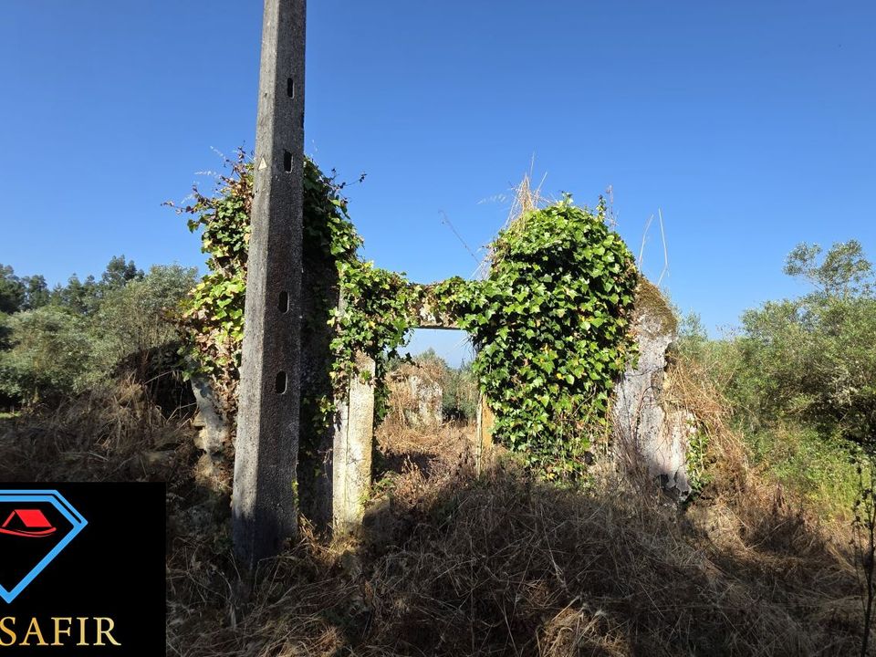 Villa i Tomar, Santarem - foto 4