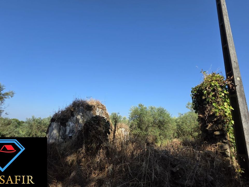 Villa i Tomar, Santarem - foto 5