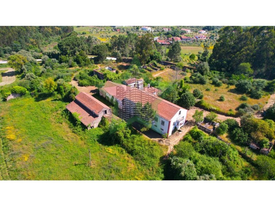 Farm i Ferreira do Zezere, Santarem - foto 5