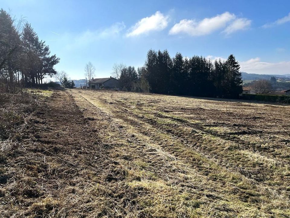 Terra a Violay, Loire - foto 4