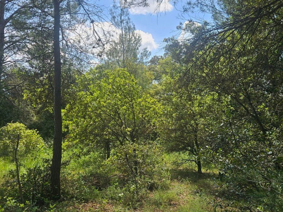 Helårsgrund i Laval-Pradel, Gard - foto 1
