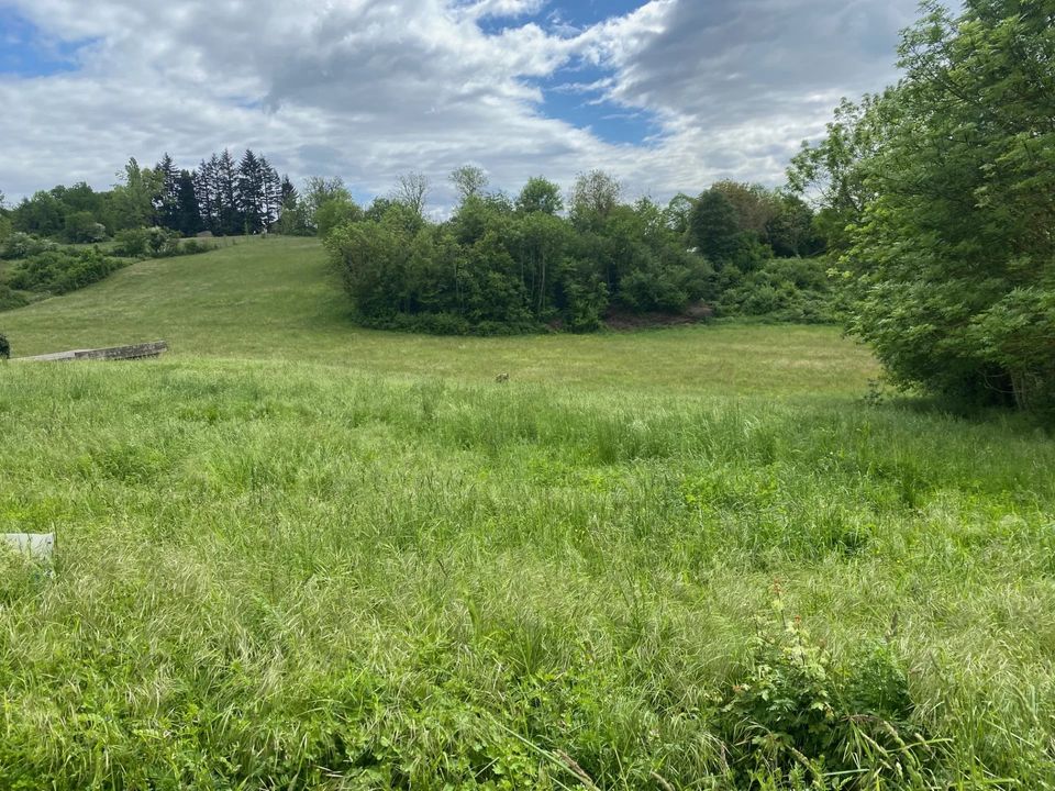 Helårsgrund i Annoisin-Chatelans, Isere - foto 2