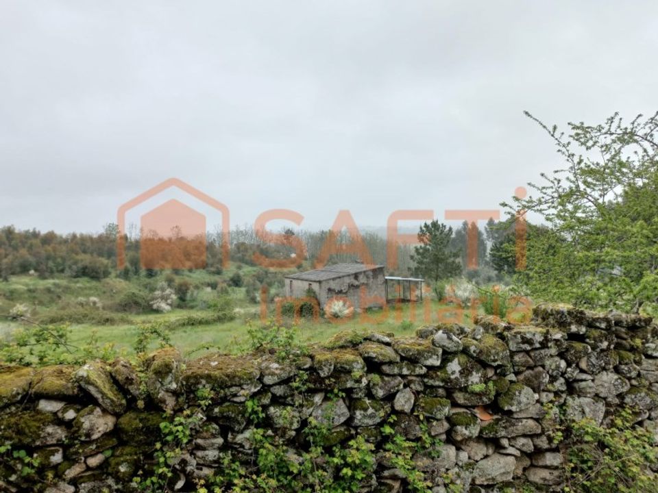 Farm i Vilar seco, Viseu - foto 3