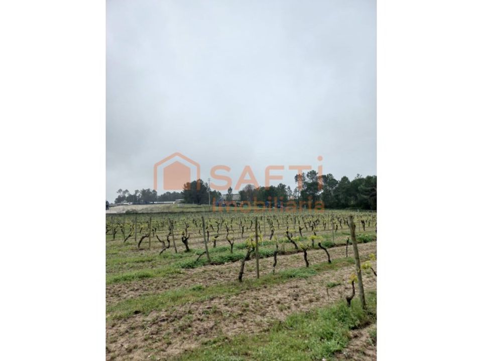 Farm i Vilar seco, Viseu - foto 4