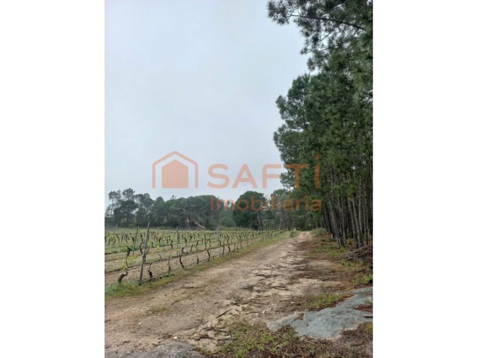 Farm i Vilar seco, Viseu - foto 5