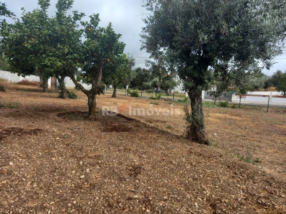 Helårsgrund i Montalvo, Santarem - foto 1