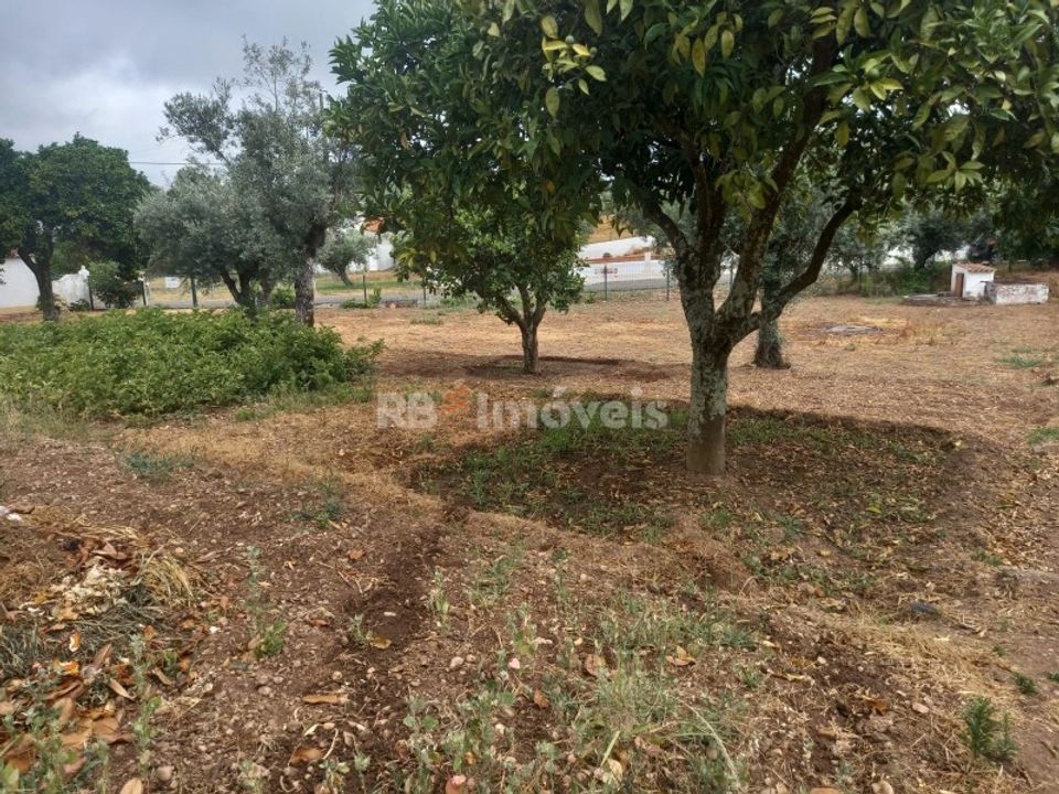 Helårsgrund i Montalvo, Santarem - foto 2