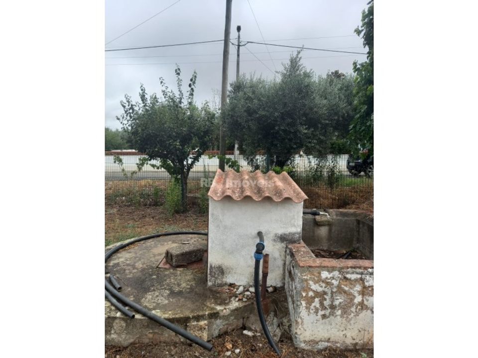 Helårsgrund i Montalvo, Santarem - foto 3
