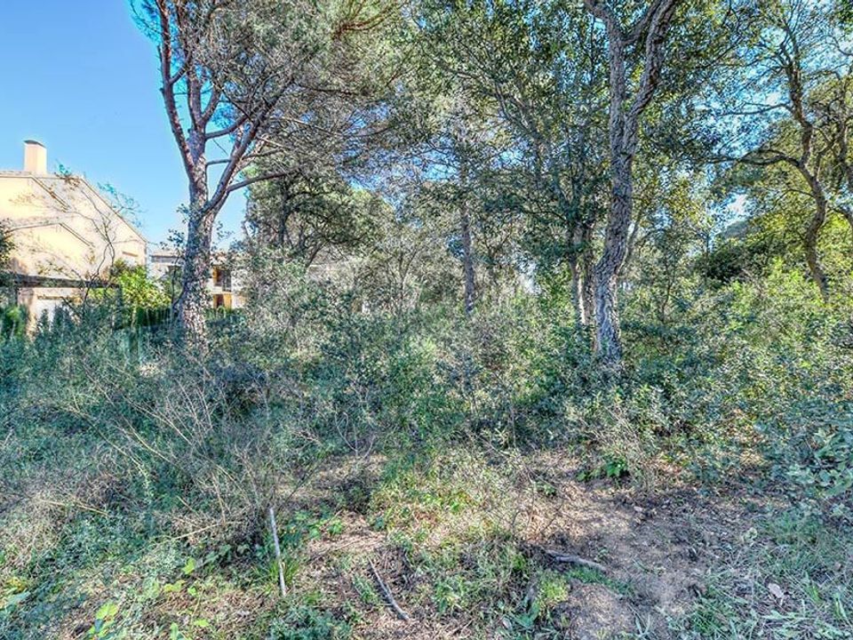 Finca i Calella De Palafrugell, Gerona - foto 2