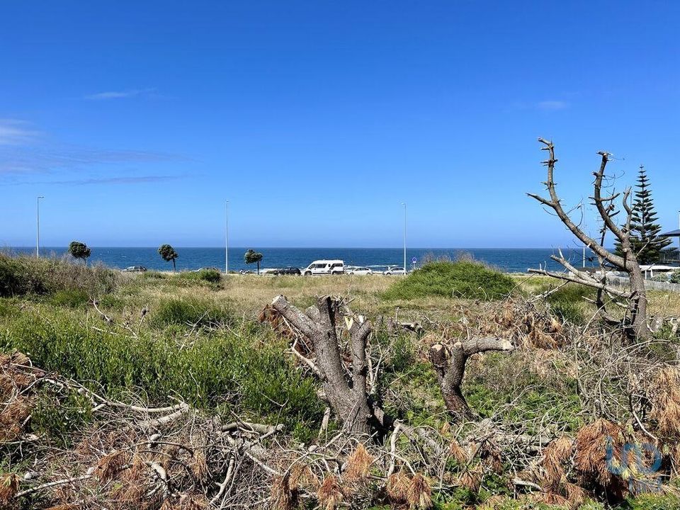 Tomt i Caminha, Viana do Castelo - bilde 1