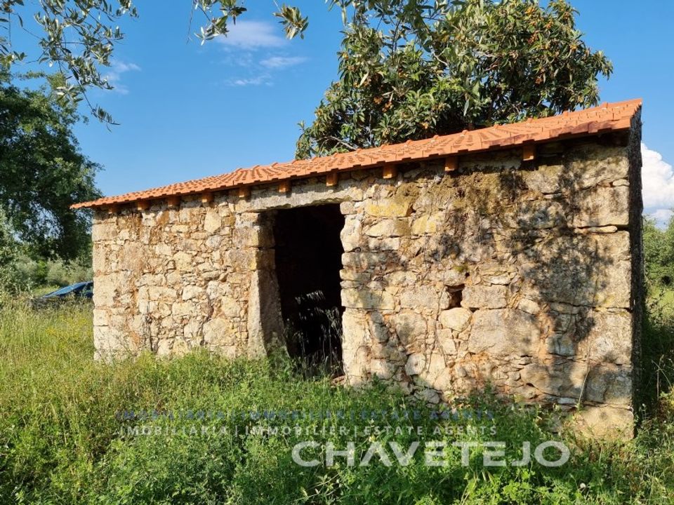Helårsgrund i Ferreira do Zezere, Santarem - foto 2