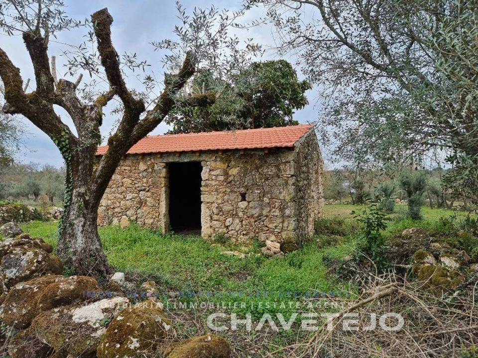 Helårsgrund i Ferreira do Zezere, Santarem - foto 3