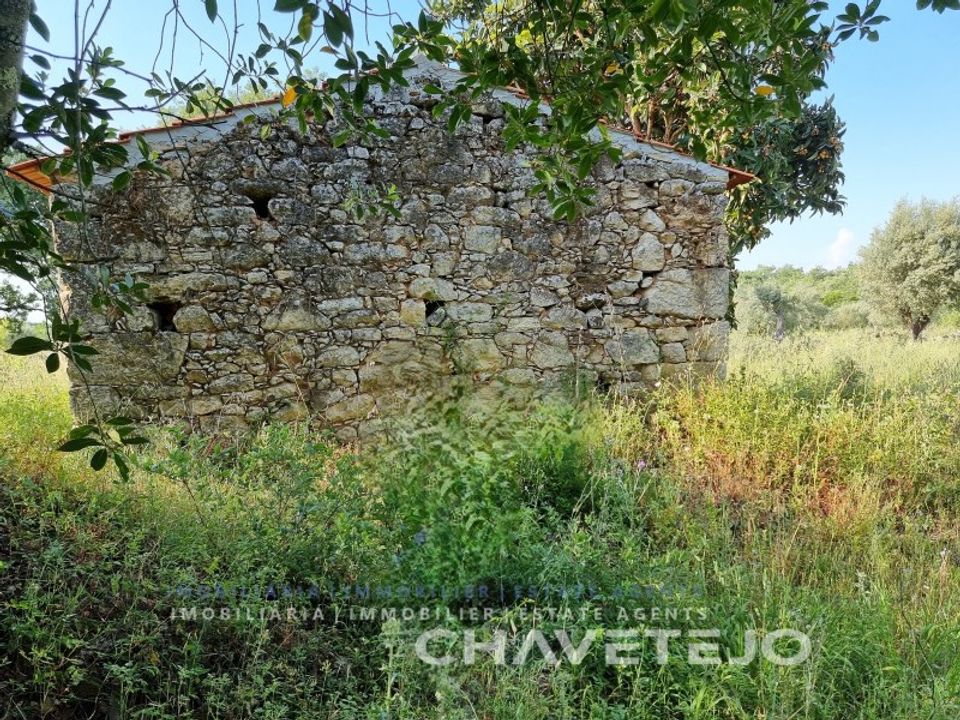 Helårsgrund i Ferreira do Zezere, Santarem - foto 5