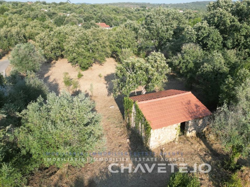 Helårsgrund i Ferreira do Zezere, Santarem - foto 1