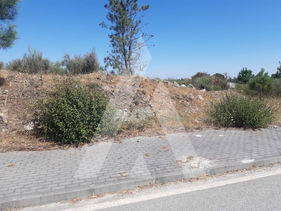 Helårsgrund i Insua, Viseu - foto 4