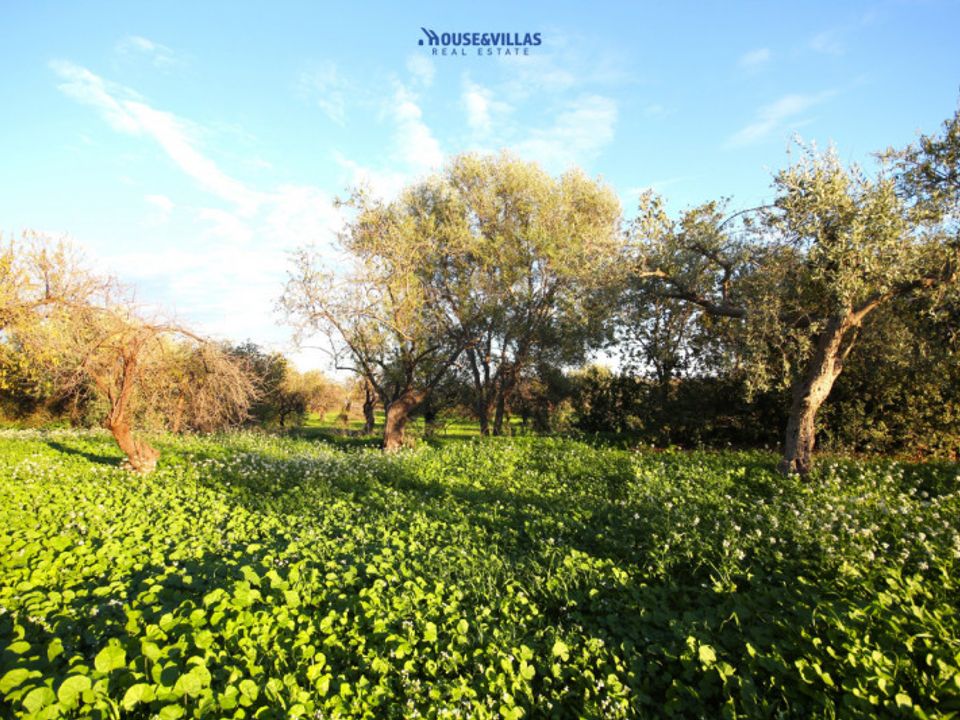 Helårsgrund i Noto, Siracusa - foto 2