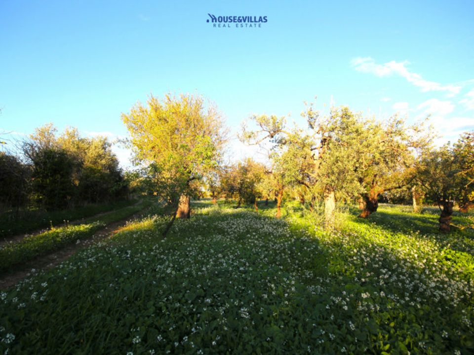 Helårsgrund i Noto, Siracusa - foto 3
