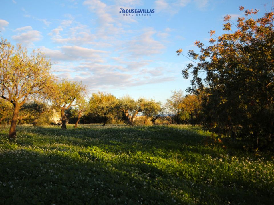 Helårsgrund i Noto, Siracusa - foto 5
