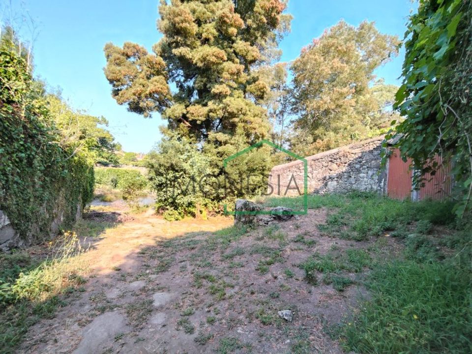 Farm i Caminha, Viana do Castelo - foto 4